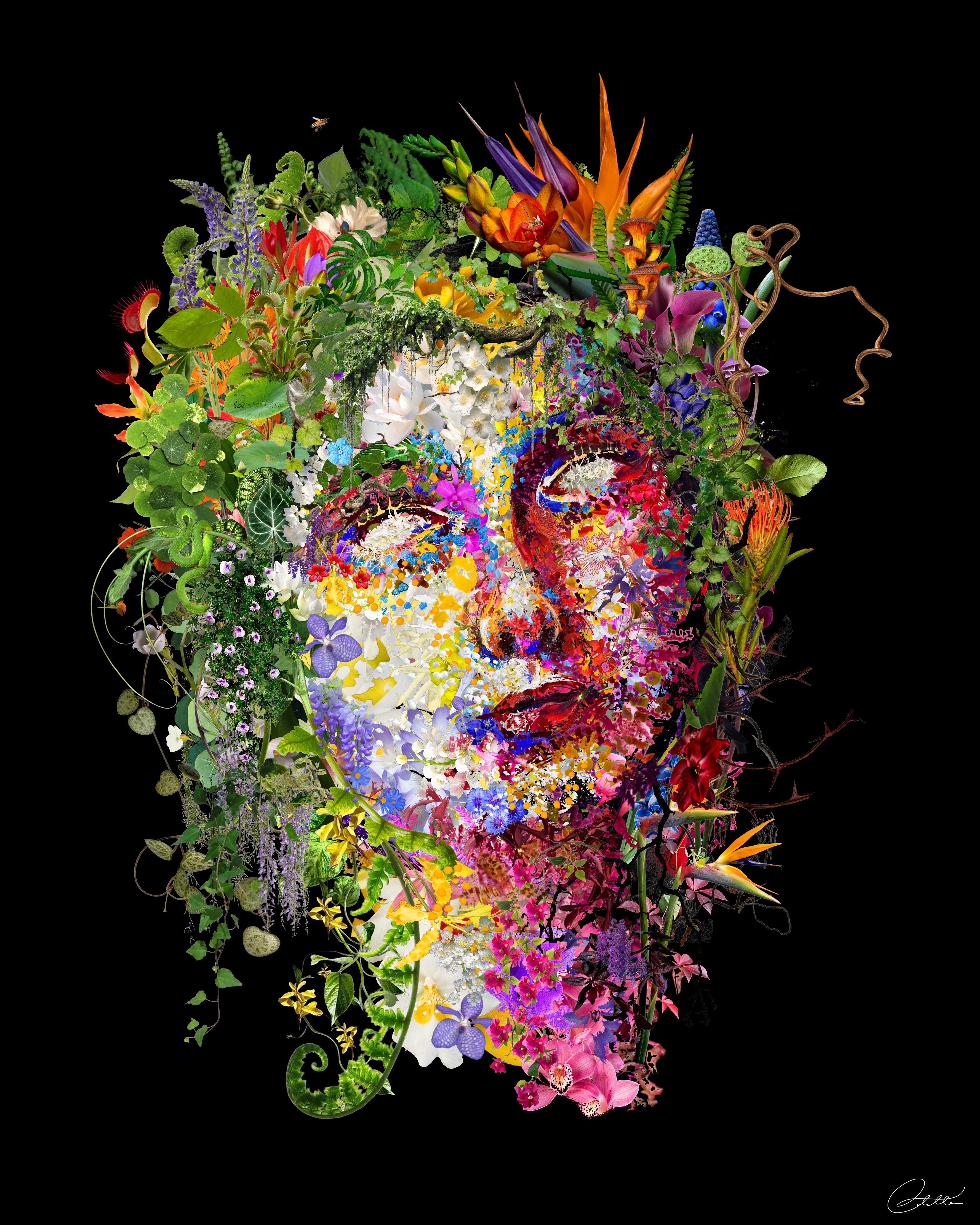 'OPHELIA'