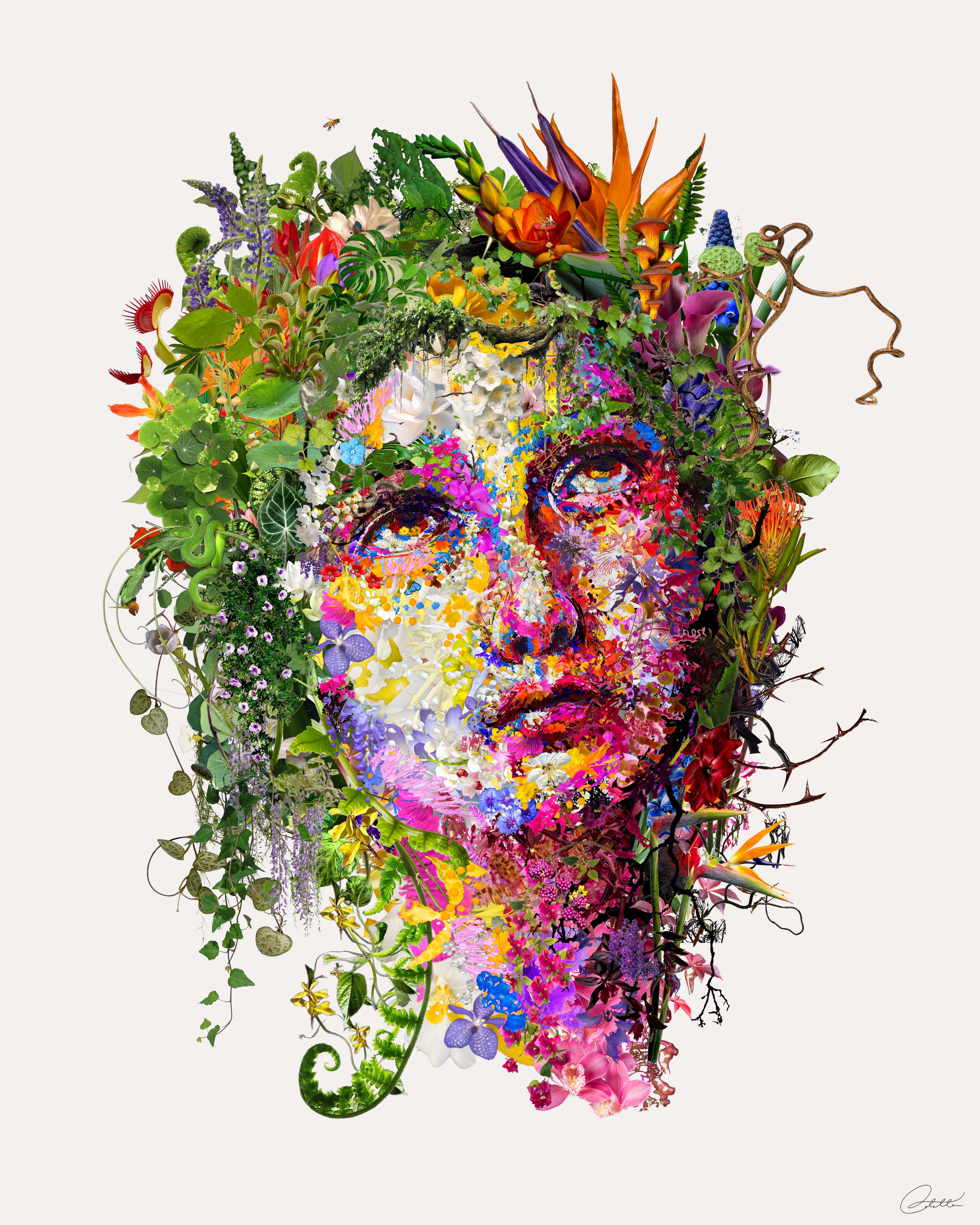'OPHELIA'